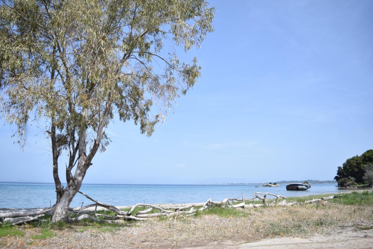 Corfu Seaview Maisonette - Sopra Il Mare Petrití Eksteriør bilde